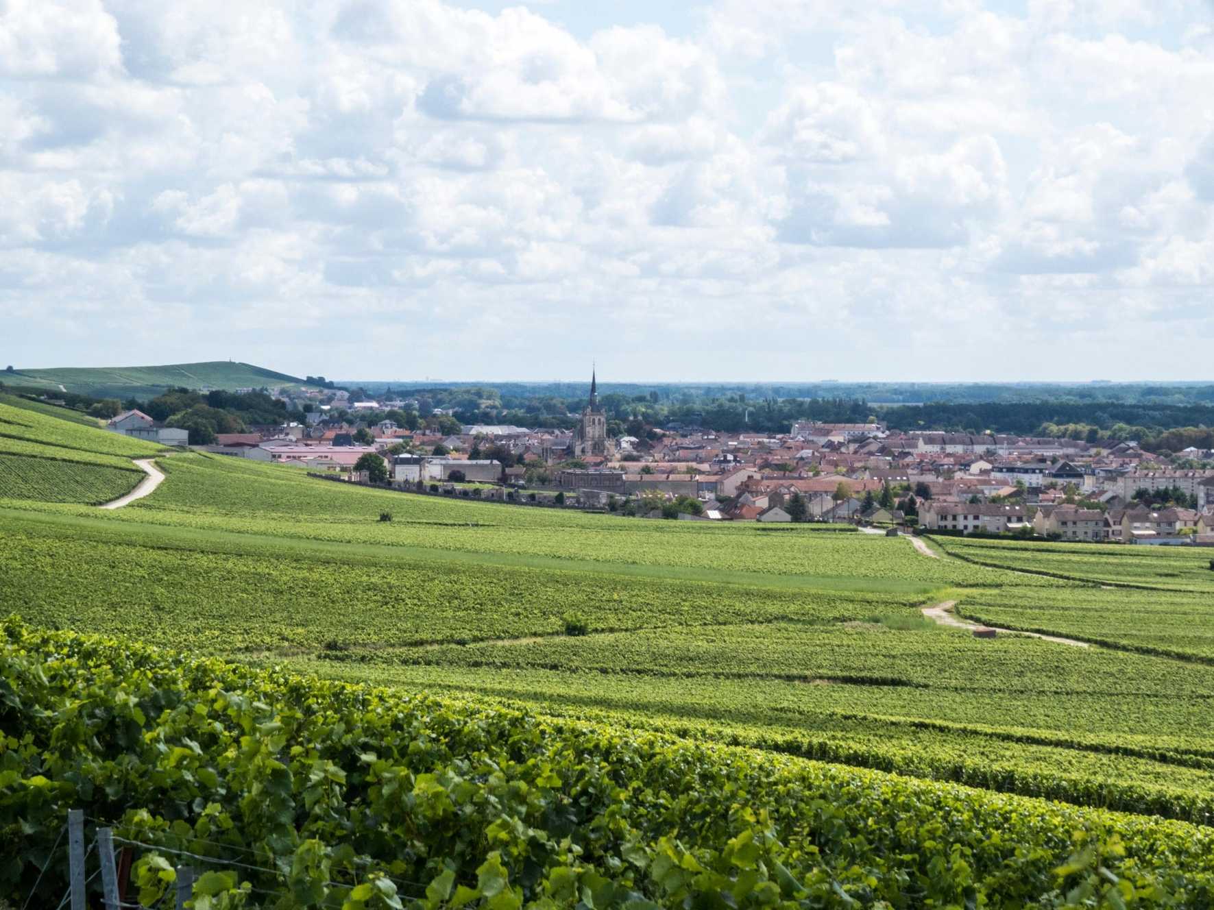 Hills covered in vineyards in Ay in the Champagne region of France.