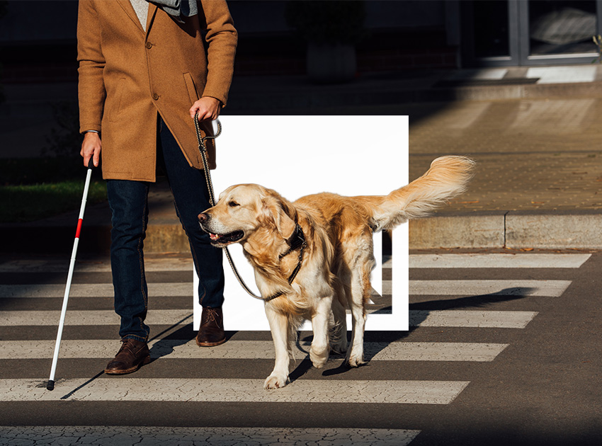 Blind pedestrian crossing the street with a guide dog, representing accessible travel across the UK and Europe for car hire users with excess insurance.”